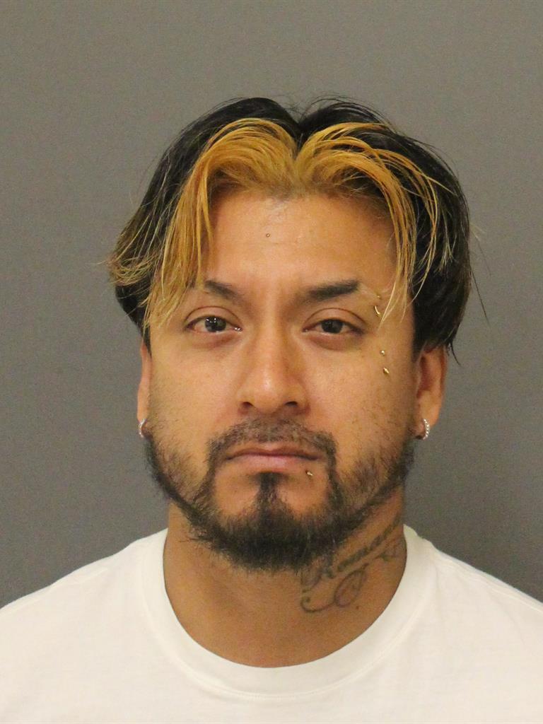  EDUARDO LUIS PALACIOS Mugshot / County Arrests / Orange County Arrests