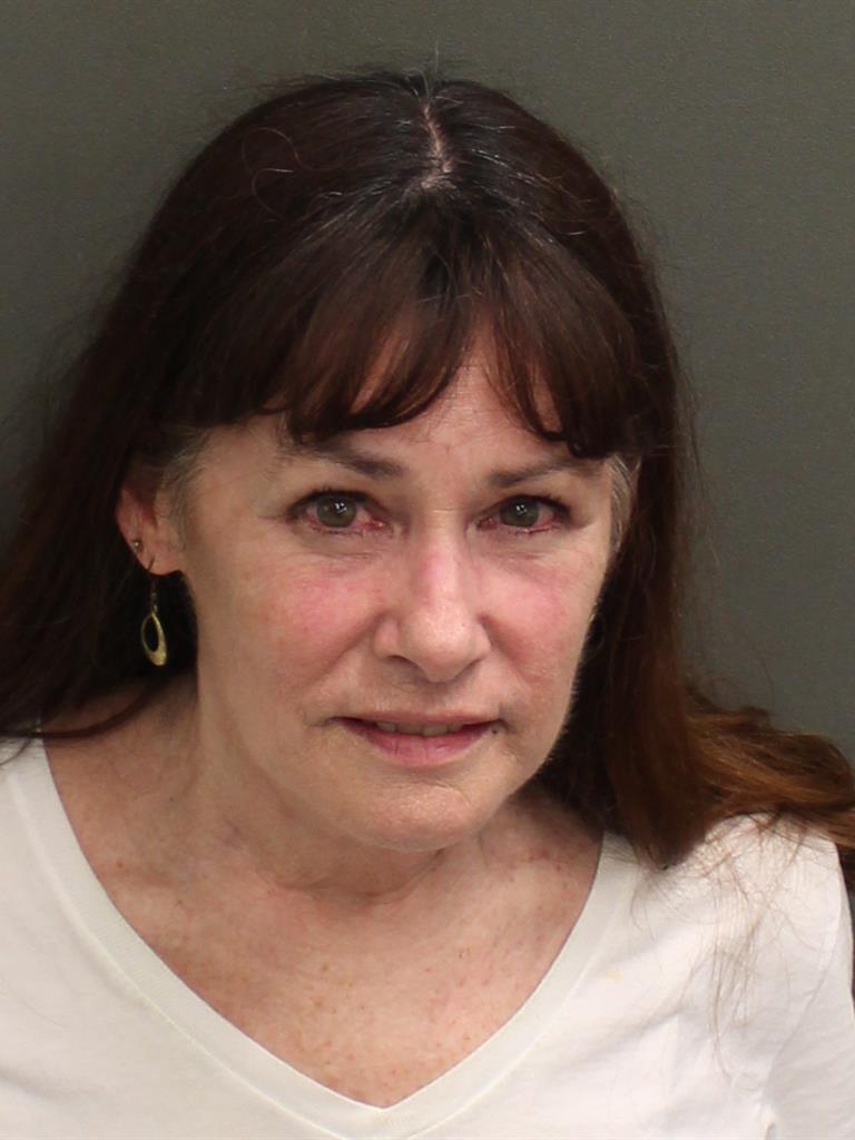  LAURA LYNN BOROVICH Mugshot / County Arrests / Orange County Arrests