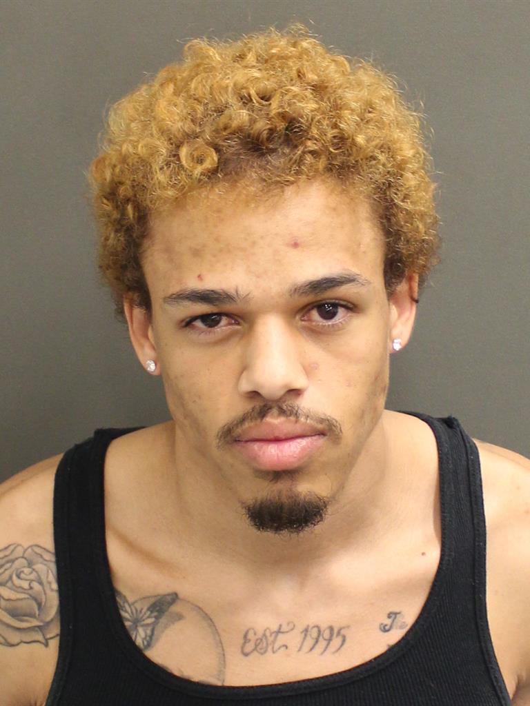  DYLAN NATHANIEL NICKISCH Mugshot / County Arrests / Orange County Arrests