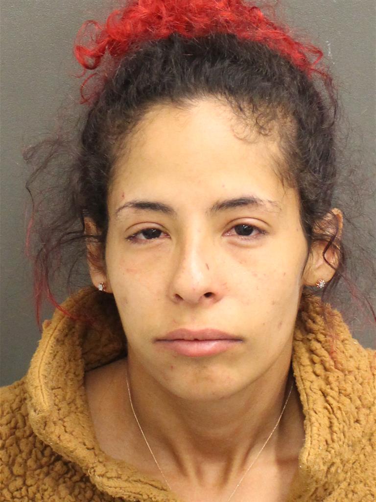  LIZMARIE REYES Mugshot / County Arrests / Orange County Arrests