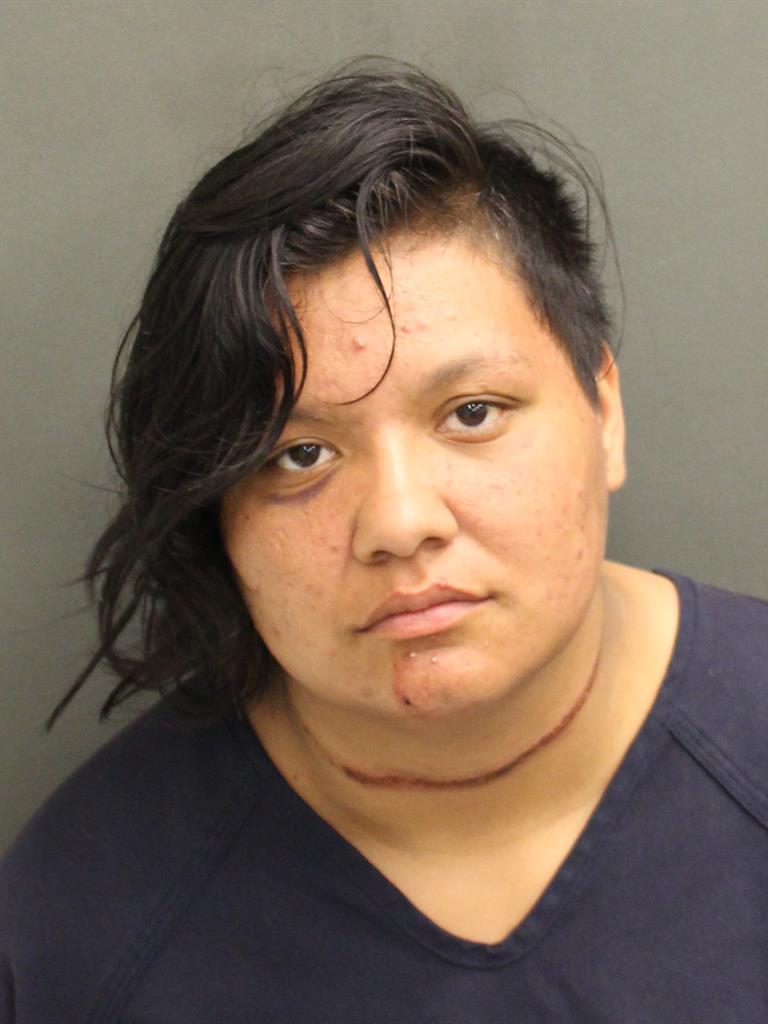  CYNTHIA CAYLIN TIGER Mugshot / County Arrests / Orange County Arrests