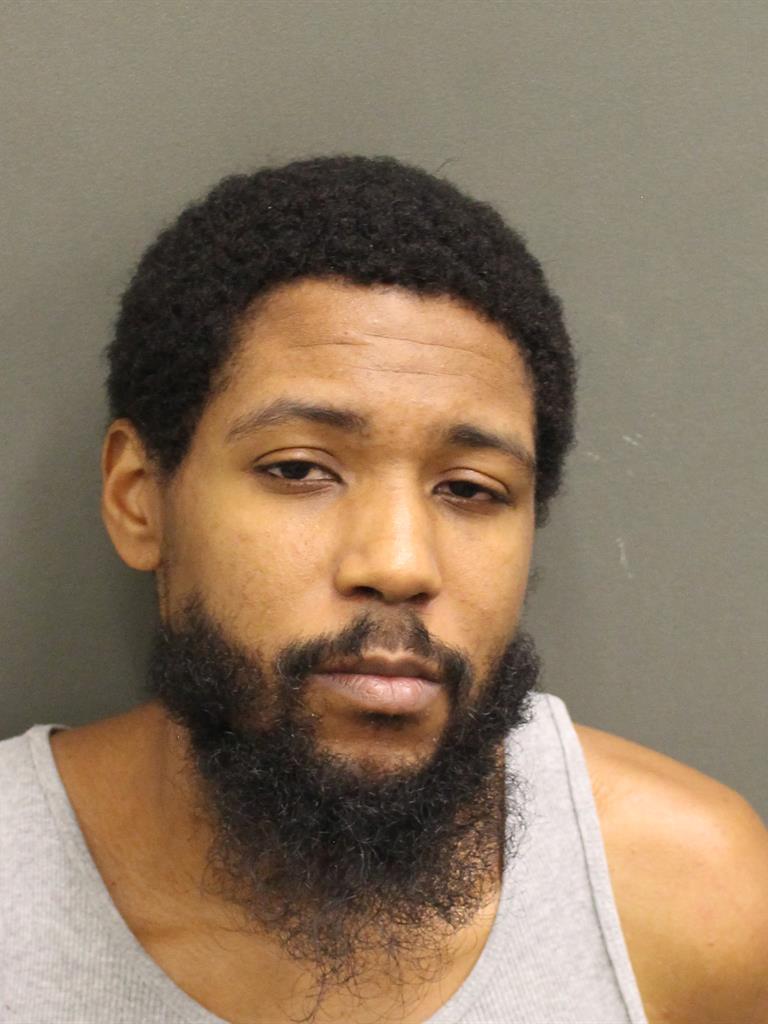  RODNEY MCKENZIE WHITE Mugshot / County Arrests / Orange County Arrests