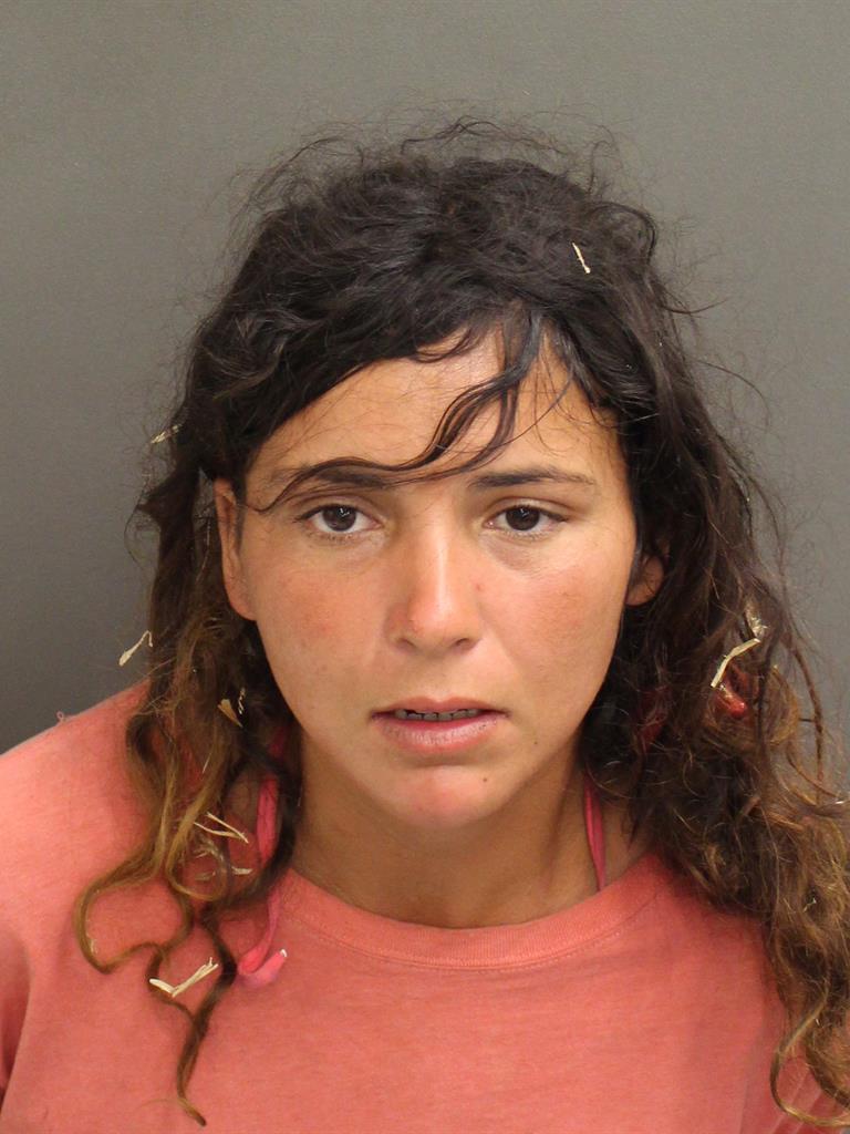  SARAH ELIZABETH ALLISON Mugshot / County Arrests / Orange County Arrests