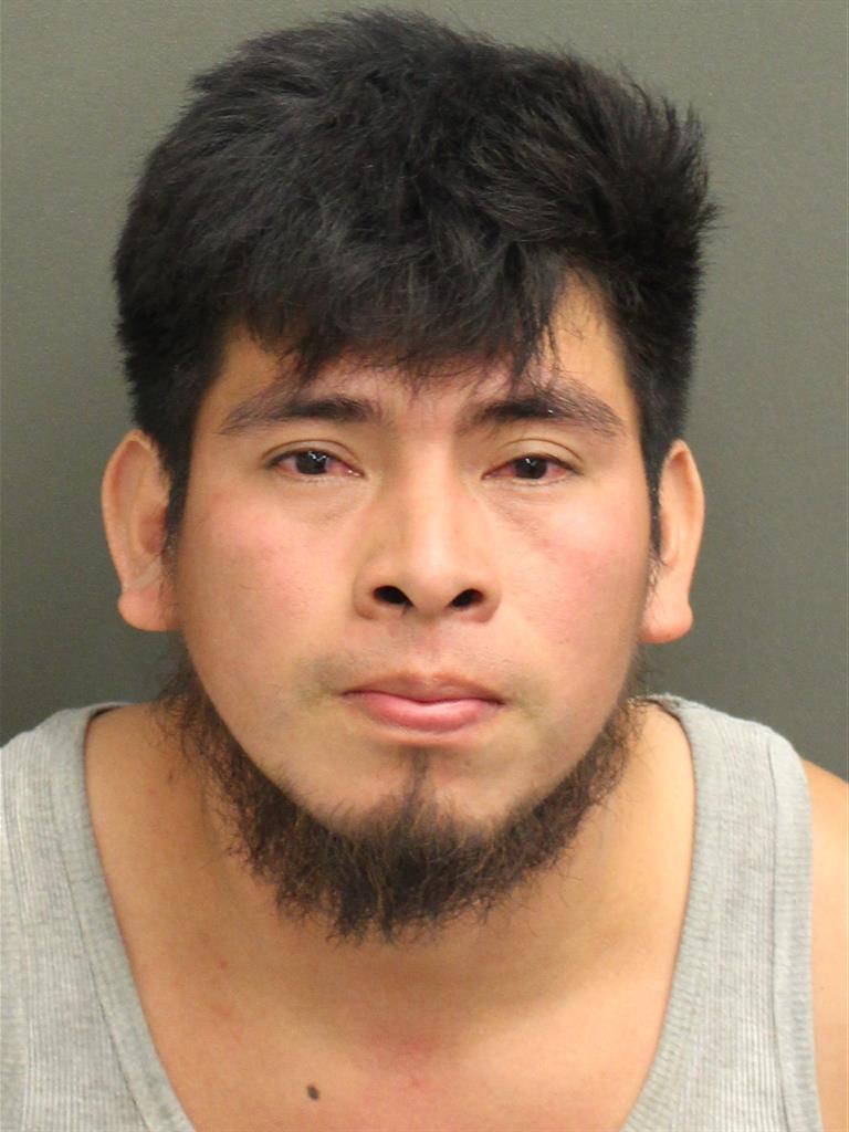  SABINO CHUB CAAL Mugshot / County Arrests / Orange County Arrests