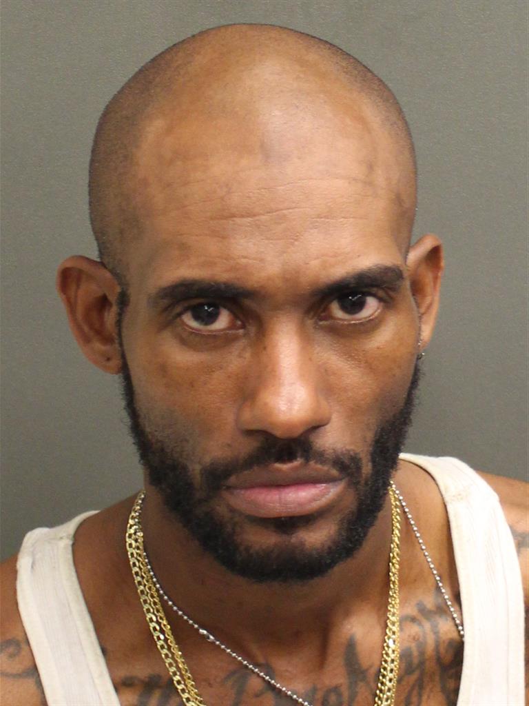  CECIL LAMAR GOINS Mugshot / County Arrests / Orange County Arrests