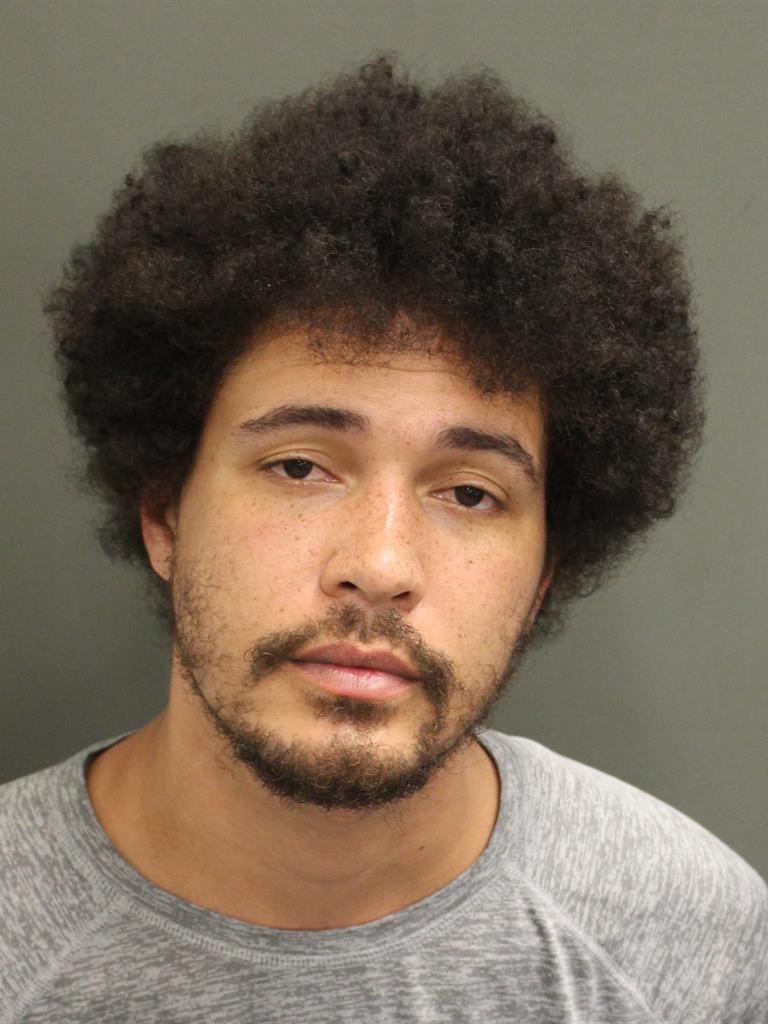  DEION FERETZ GREGORY Mugshot / County Arrests / Orange County Arrests