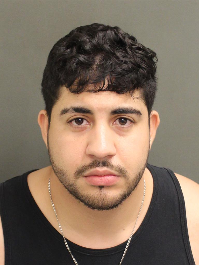  YELTSIN NOEL PEREYRA PINEDA Mugshot / County Arrests / Orange County Arrests