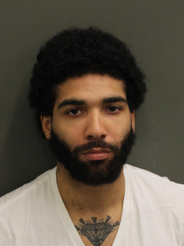  ANTHONY JOSHUALEE HASSELBACH Mugshot / County Arrests / Orange County Arrests