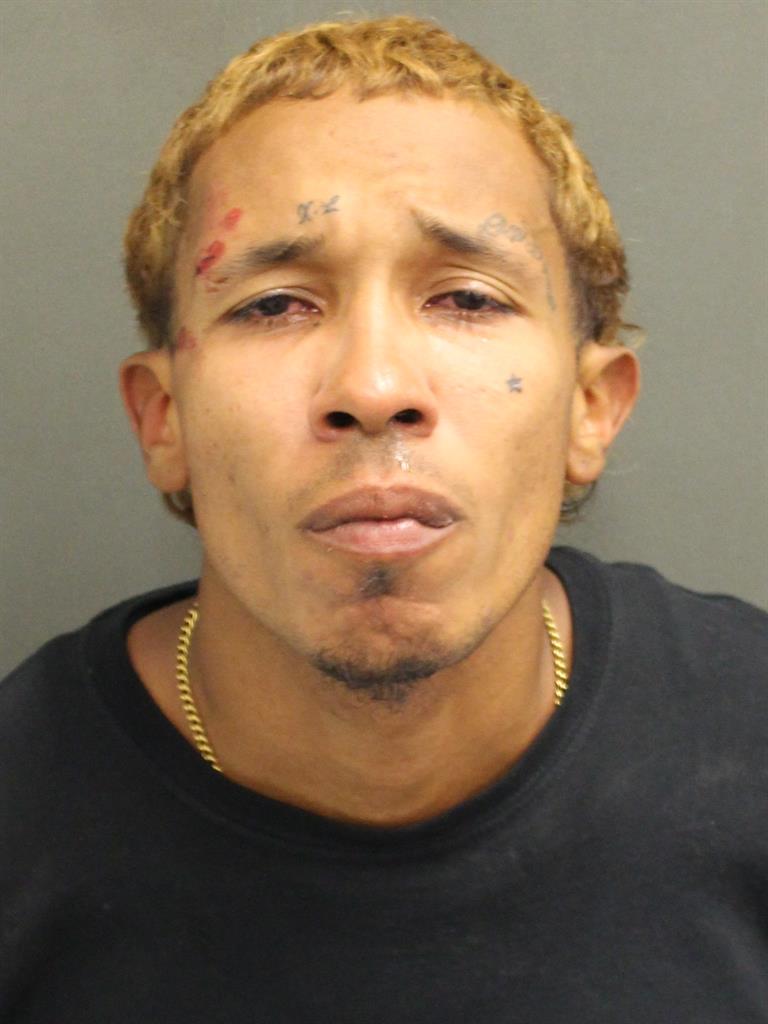  CHRISTIAN JOEL BERRIOSAYALA Mugshot / County Arrests / Orange County Arrests