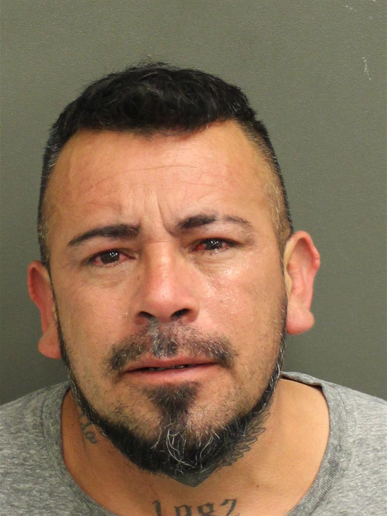  VICTOR HUGO ALONSO Mugshot / County Arrests / Orange County Arrests