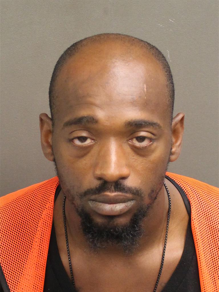  STEPFOINE MICHA LILLEY Photo Image