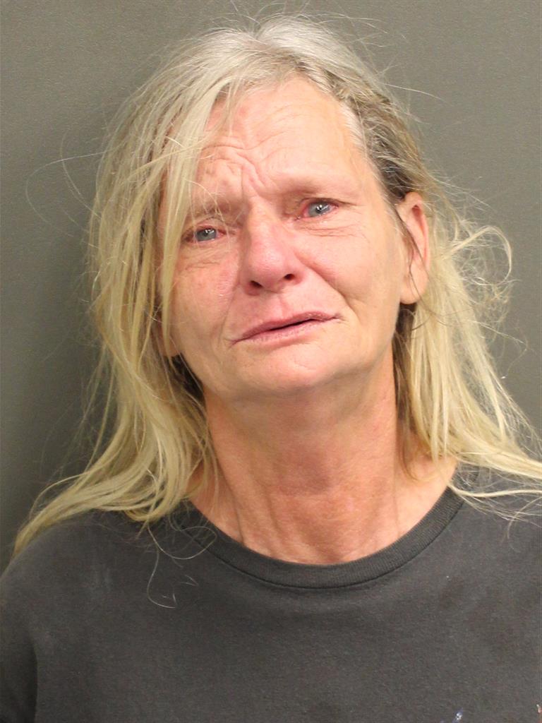  JANE BRYAN Mugshot / County Arrests / Orange County Arrests