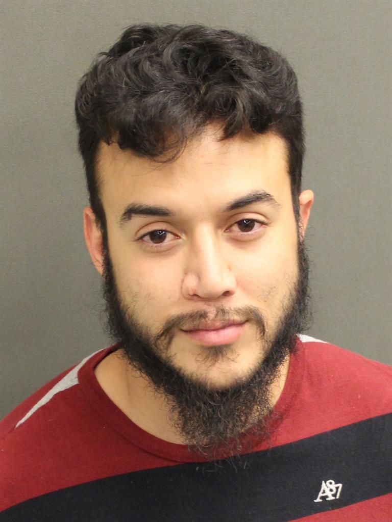  DAVID  JR GARCIA Mugshot / County Arrests / Orange County Arrests