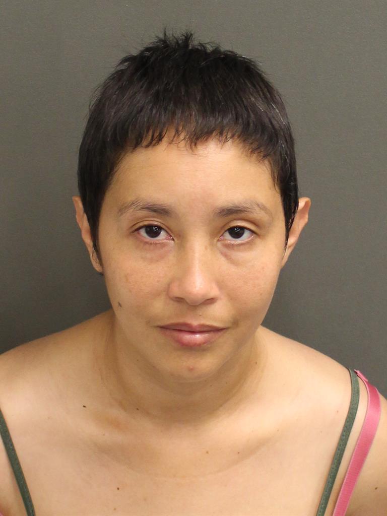  LIZAYDA LLERACOLON Mugshot / County Arrests / Orange County Arrests