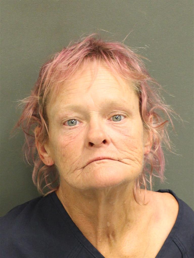  ROBERTA LYNN STYLES Mugshot / County Arrests / Orange County Arrests