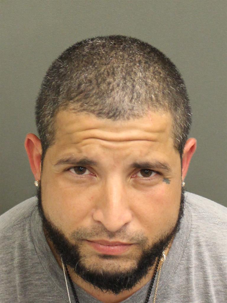  LUIS ANTONIO PAGAN Mugshot / County Arrests / Orange County Arrests