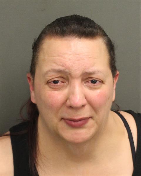  MEGAN REEVES Mugshot / County Arrests / Orange County Arrests