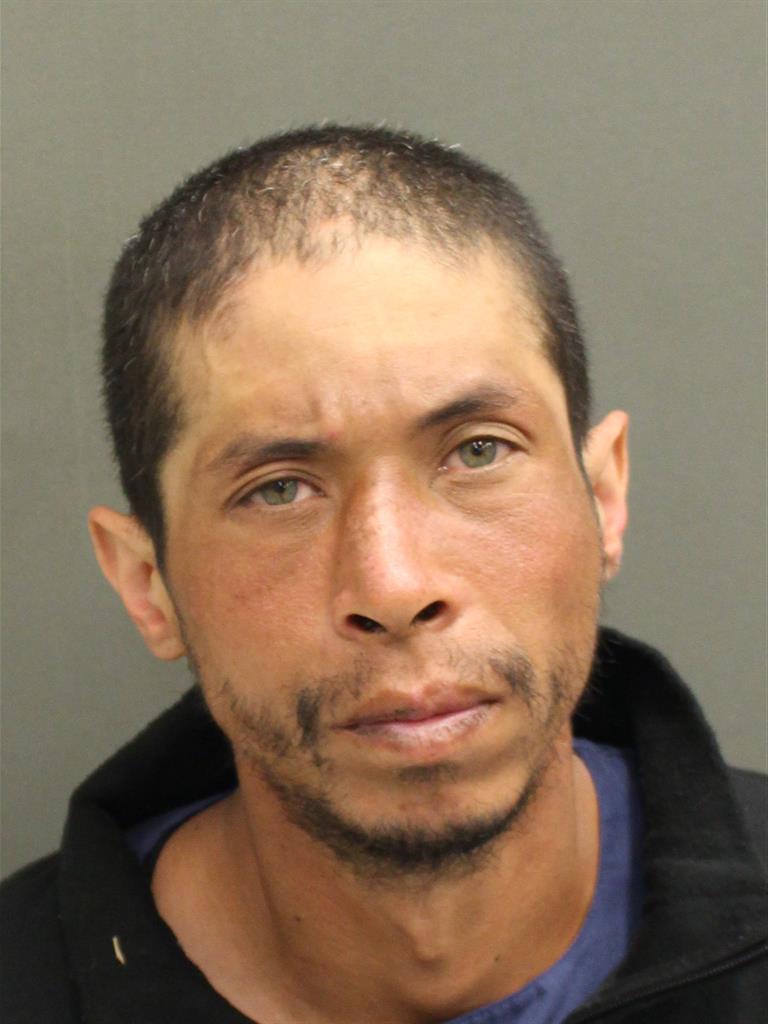  WAGER NEIL ARCE Mugshot / County Arrests / Orange County Arrests