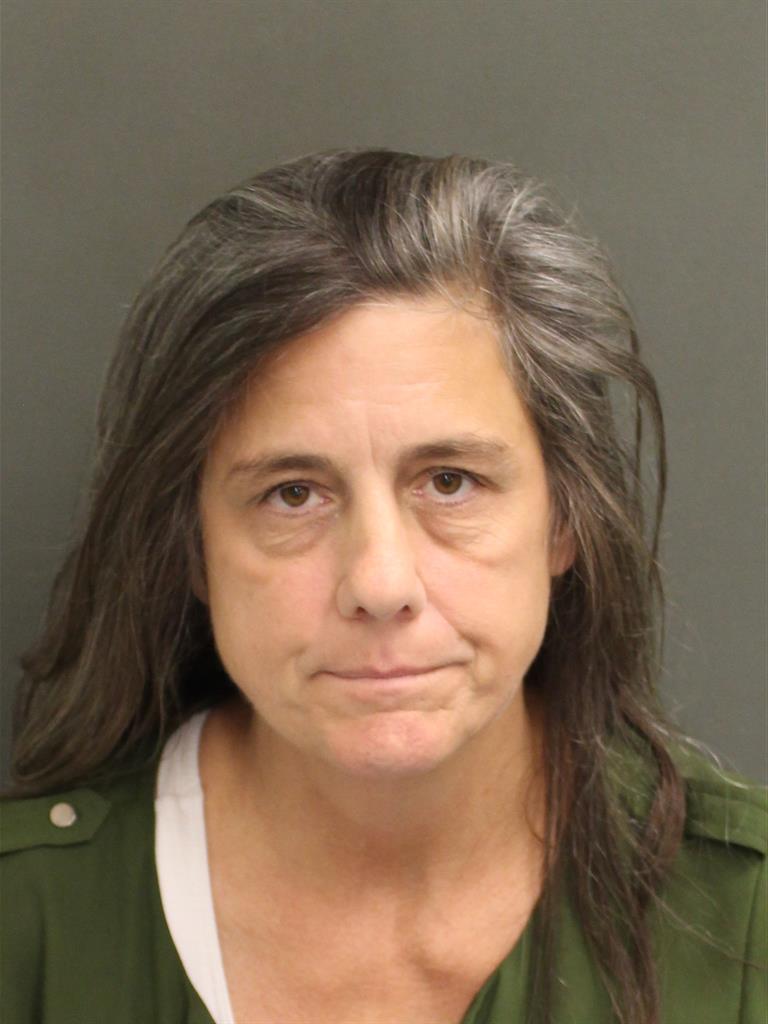  LISA ANN SLONE Mugshot / County Arrests / Orange County Arrests