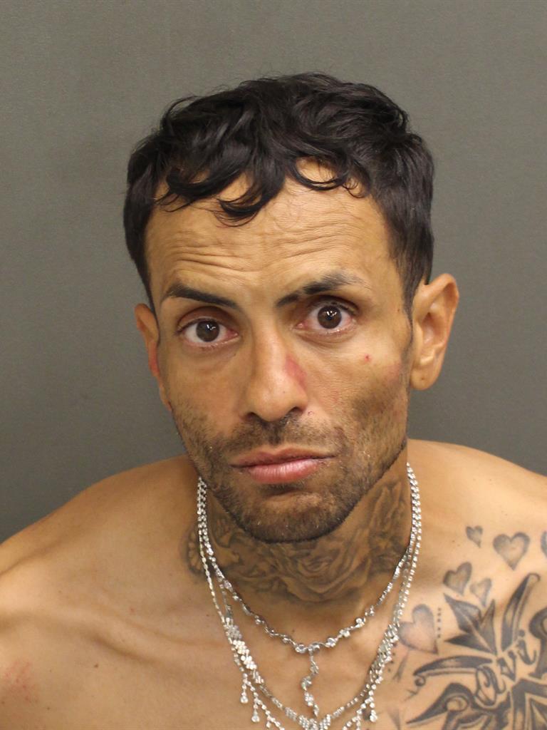  CARLOS ALBERTO MOLINA Mugshot / County Arrests / Orange County Arrests