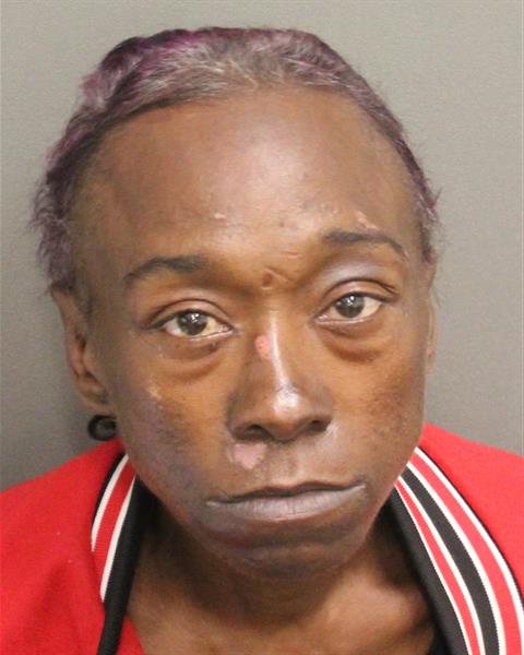 VIOLETTA THORNTON Mugshot / County Arrests / Orange County Arrests
