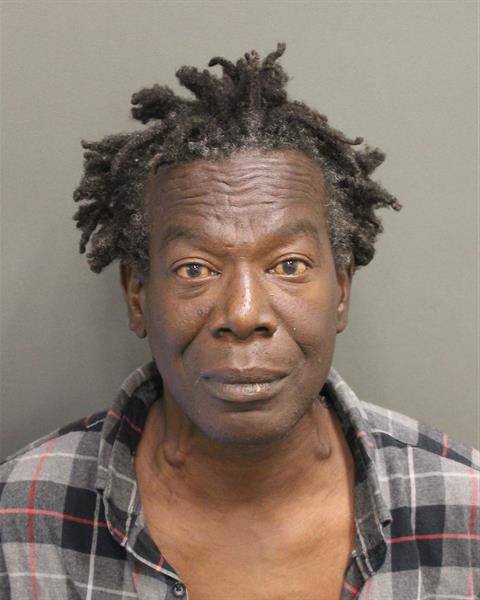  THEODORE DAVID BELLAMY Mugshot / County Arrests / Orange County Arrests