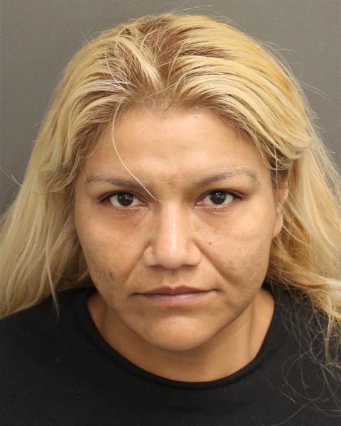  ISABEL YOLANDA VILLANUEVA Mugshot / County Arrests / Orange County Arrests