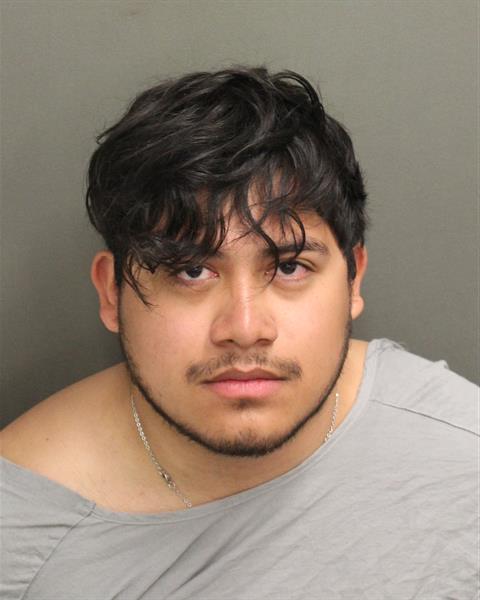  ERICK HERNANDEZARENAS Mugshot / County Arrests / Orange County Arrests