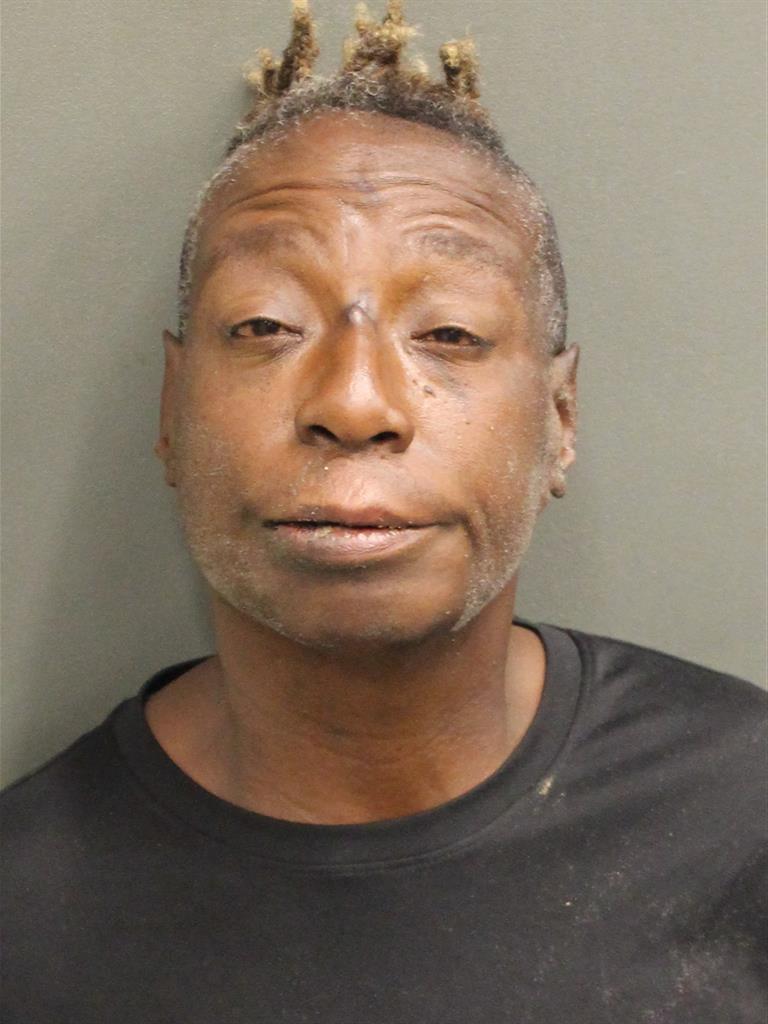  DENISE LENITTE STURGIS Mugshot / County Arrests / Orange County Arrests