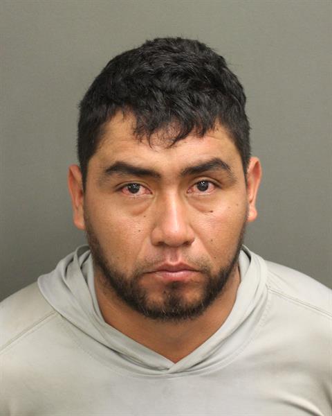  WALTHER ANIBAL SOLISSALAZAR Mugshot / County Arrests / Orange County Arrests