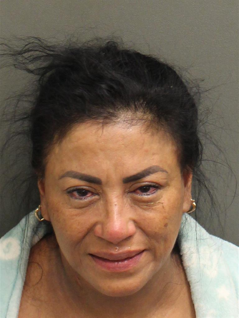 INES MARIVEL GIL Mugshot / County Arrests / Orange County Arrests