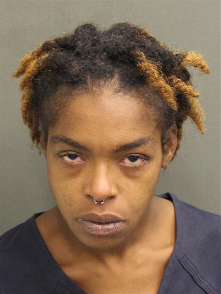  LATINA LOUISE YOUNG Mugshot / County Arrests / Orange County Arrests