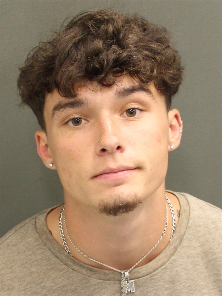  NOLAN ROBERT BRIMINGHAM Mugshot / County Arrests / Orange County Arrests