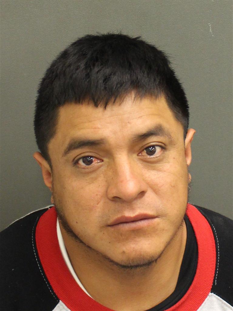  LUIS GABRIEL QUILLEPINEDA Mugshot / County Arrests / Orange County Arrests