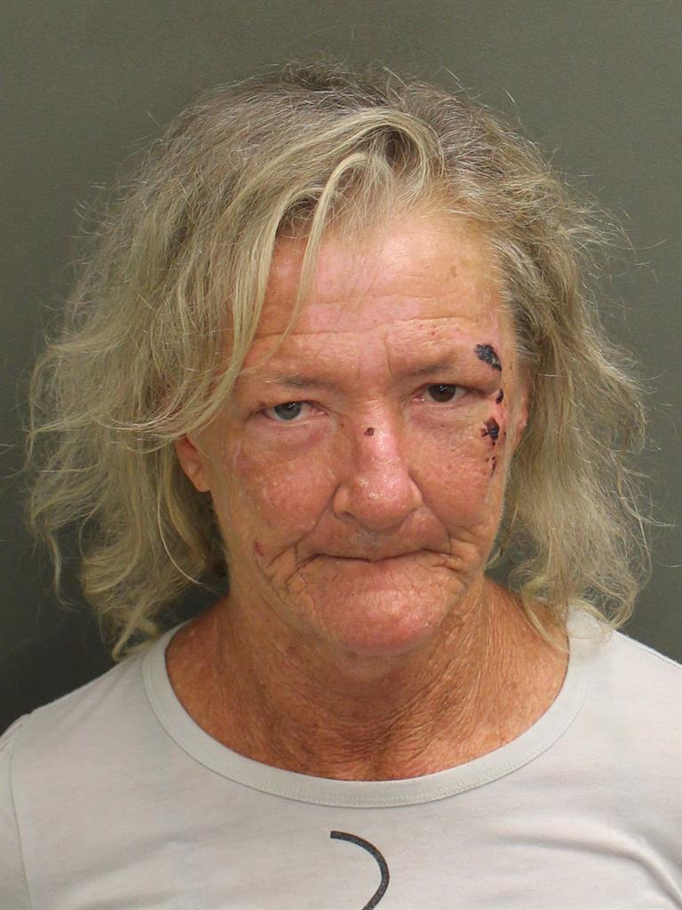  MICHELLE MARY BORDERS Mugshot / County Arrests / Orange County Arrests