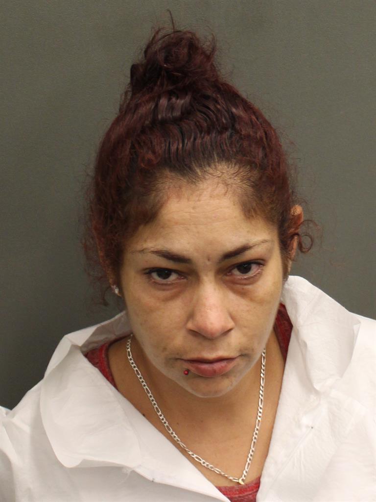  WENDY E FERNANDEZSANCHEZ Mugshot / County Arrests / Orange County Arrests