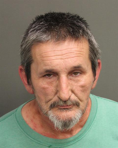  TIMOTEJ VIRT Mugshot / County Arrests / Orange County Arrests