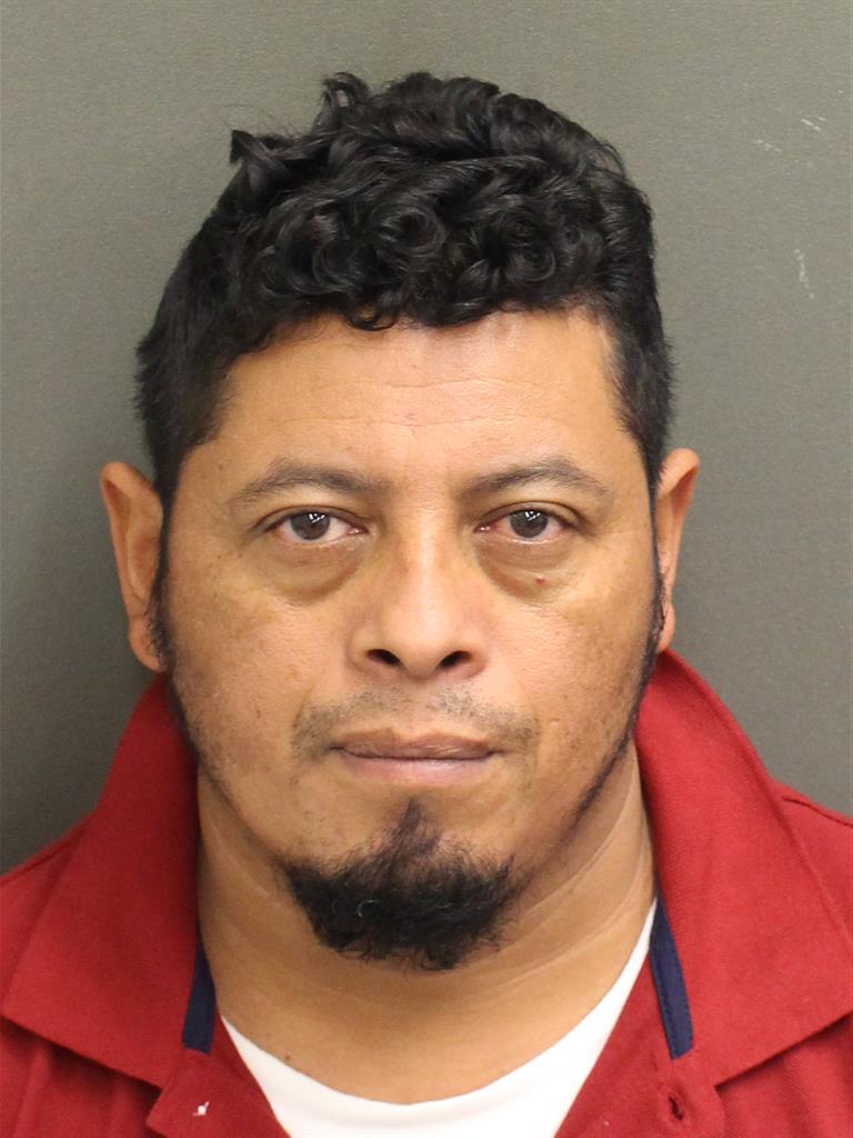  ALEXIS GONZALEZZEPEDA Mugshot / County Arrests / Orange County Arrests