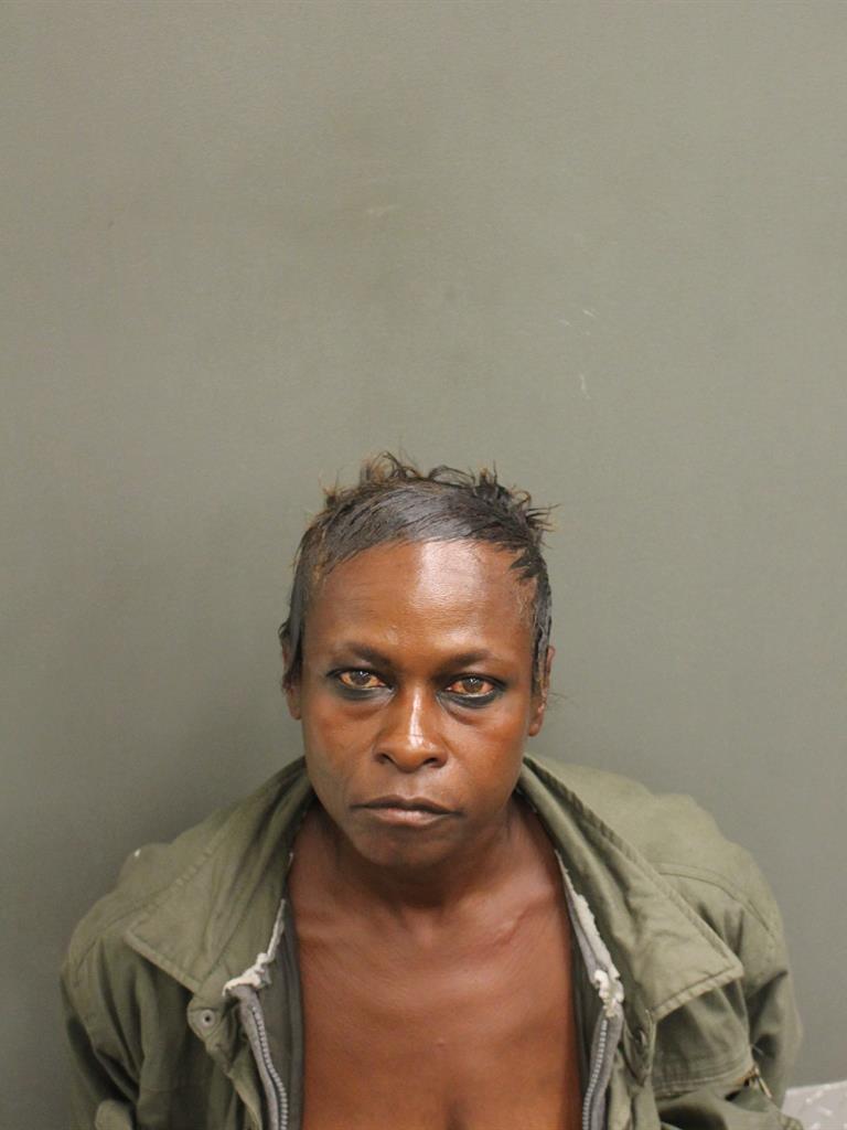 ANGELA THERESA KING Mugshot / County Arrests / Orange County Arrests