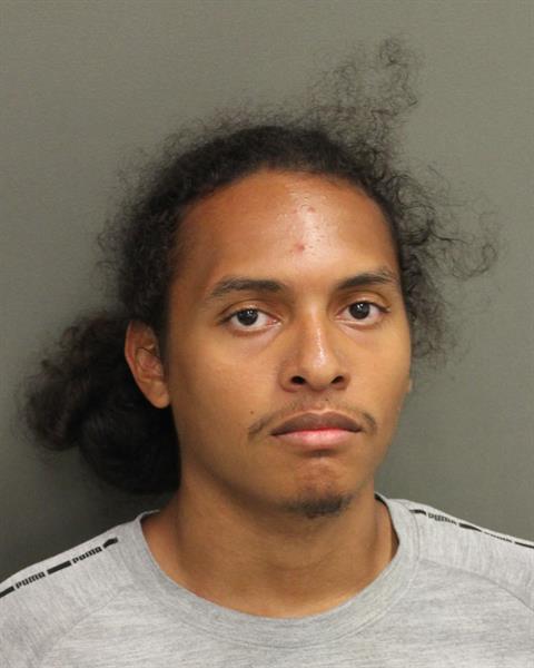  DYLAN PLATNIUM CARRILLO Mugshot / County Arrests / Orange County Arrests