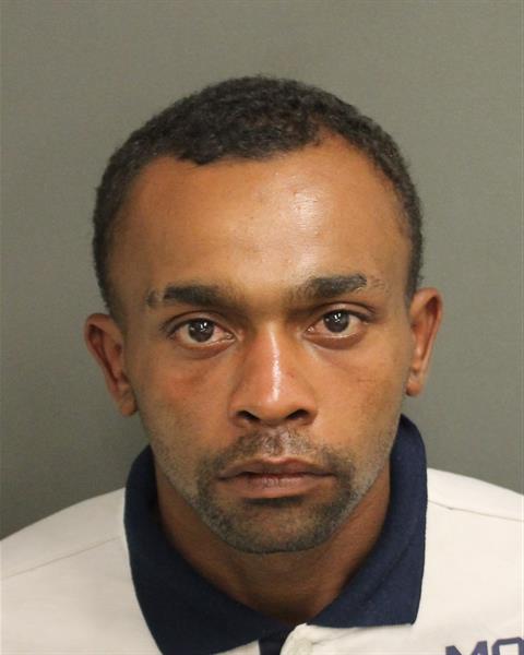  DANIEL HAMMER HARP Photo Image