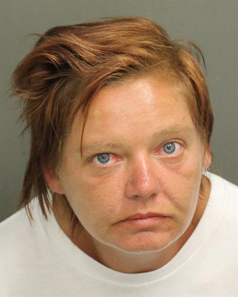  DANIELLE MARIE HILL Mugshot / County Arrests / Orange County Arrests