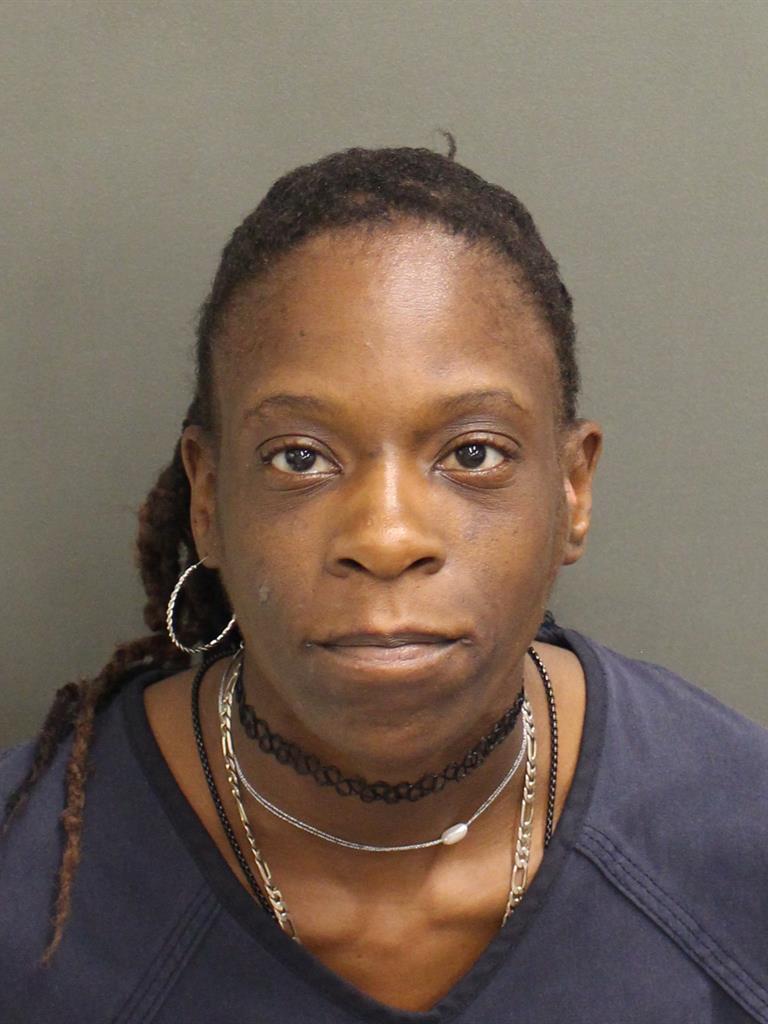 OLYMPIA BRIEKEYAKENY FARROW Mugshot OLYMPIA BRIEKEYAKENY FARROW Mugshot / County Arrests / Orange County Arrests