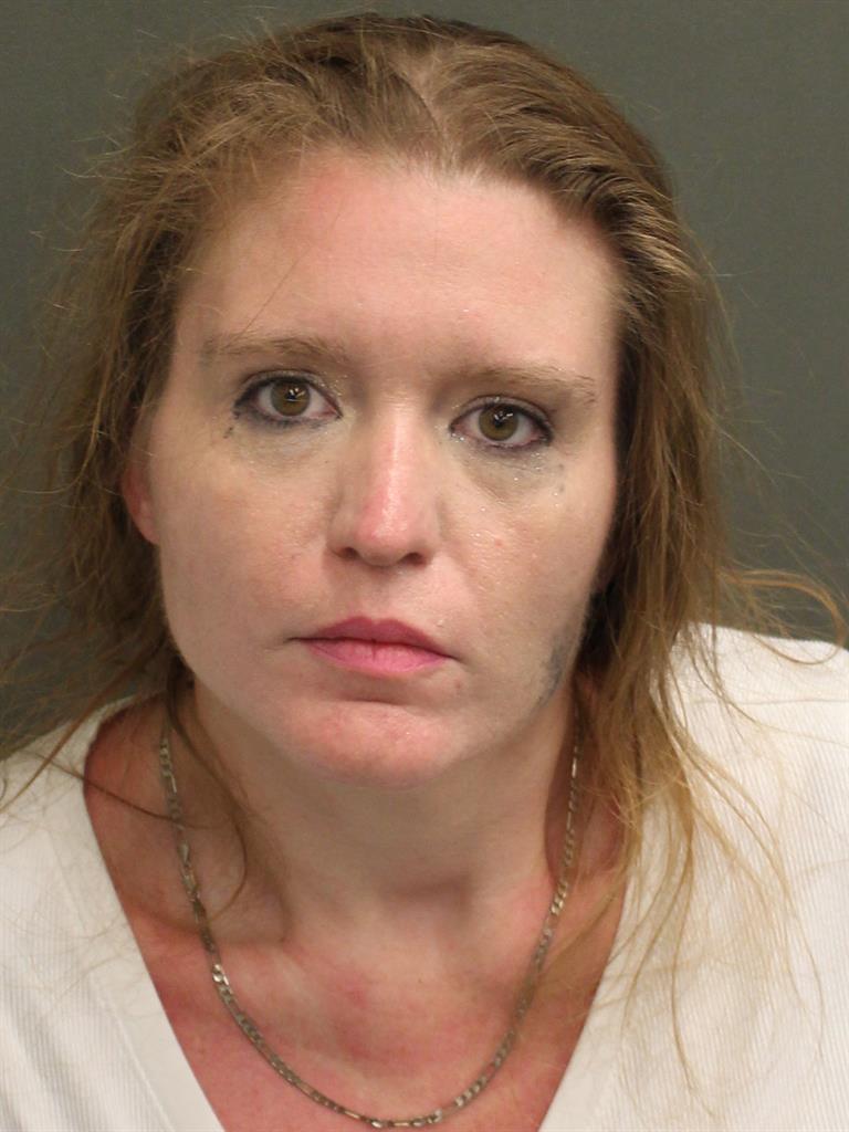  ELIZABETH PAIGE HUDSON Mugshot / County Arrests / Orange County Arrests