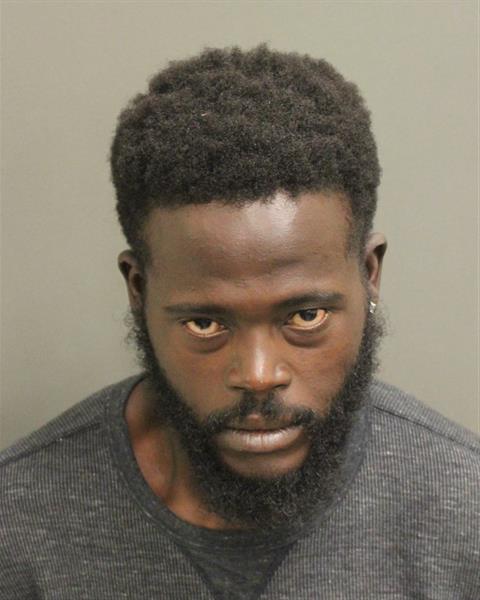  EMMANUEL HENRY Mugshot / County Arrests / Orange County Arrests