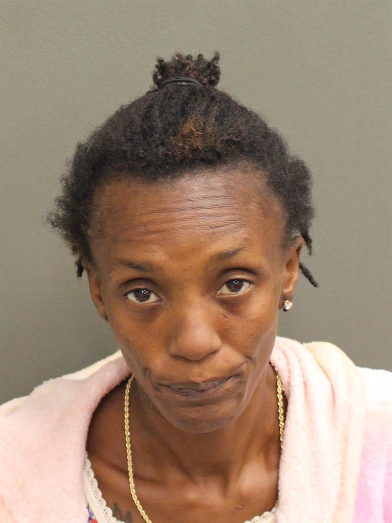  NATISHA LASHAY CLARK Mugshot / County Arrests / Orange County Arrests