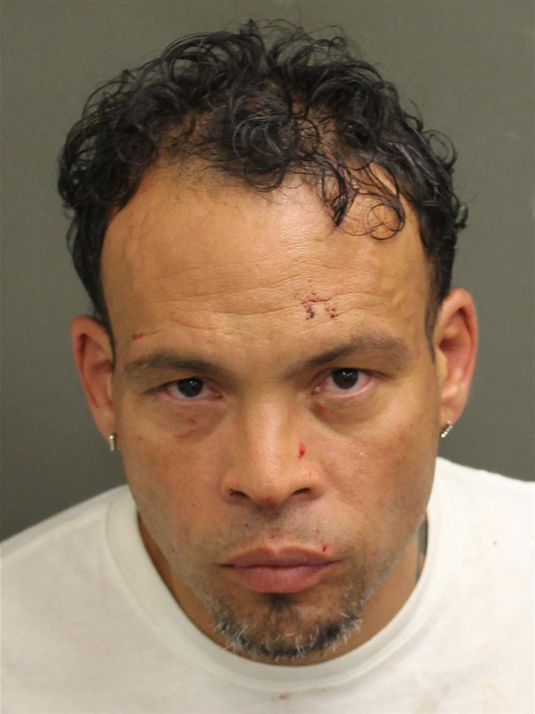  WILFREDO JR ROSARIOORTIZ Mugshot / County Arrests / Orange County Arrests