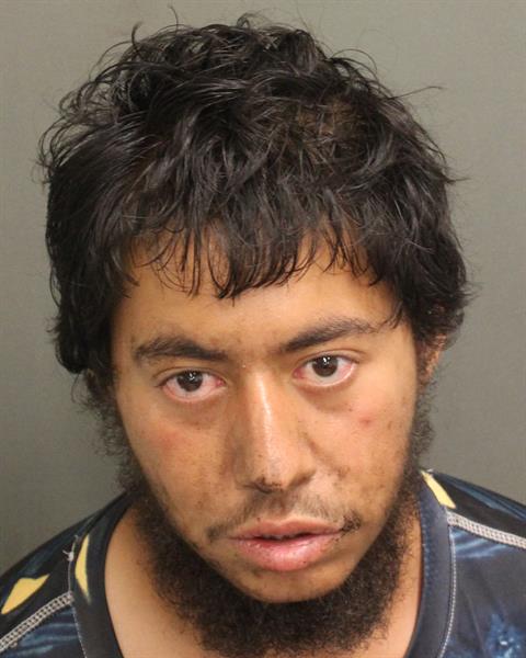  ANGEL VALLE Mugshot / County Arrests / Orange County Arrests