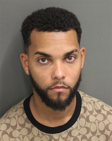  VICTOR M MELENDEZ Photo Image