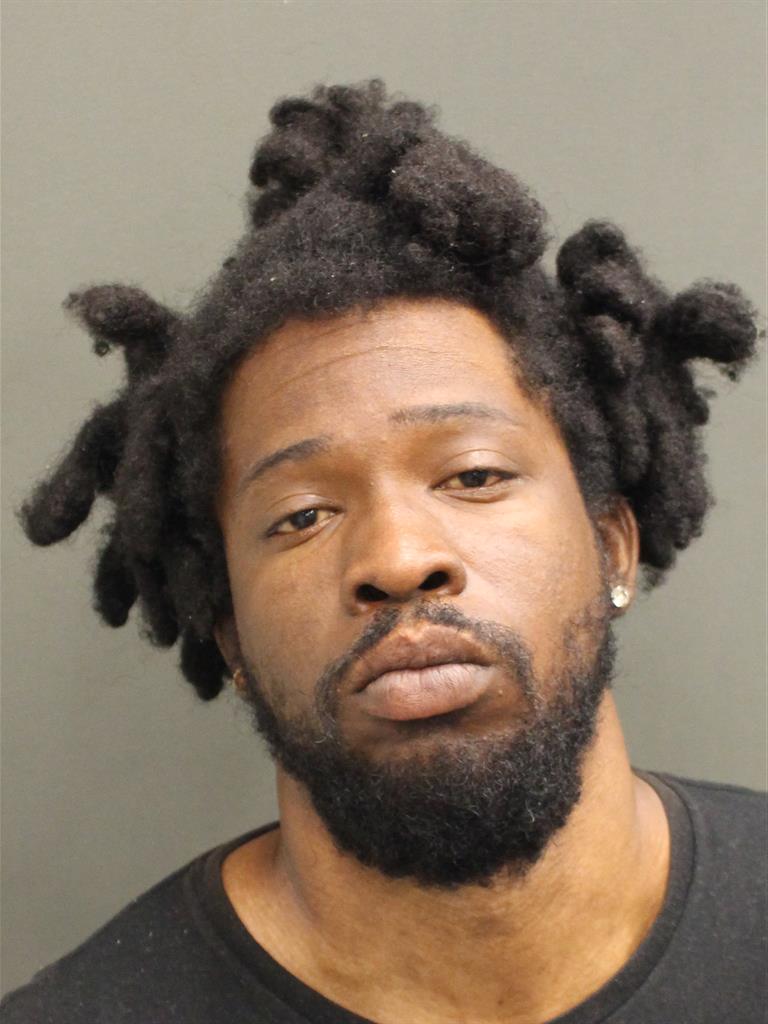  MICHAEL LEE OUTING Mugshot / County Arrests / Orange County Arrests